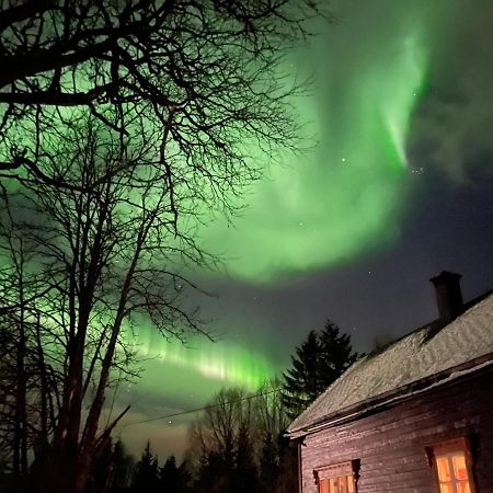 100 Years Old Norwegian Log House In Tromso Villa Exterior foto