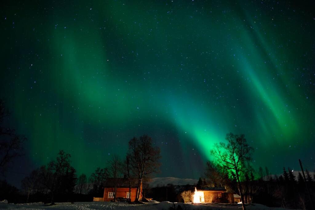 100 Years Old Norwegian Log House In Tromso Villa Exterior foto