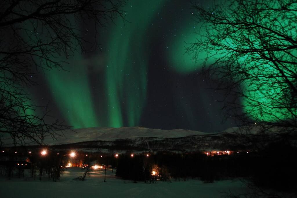 100 Years Old Norwegian Log House In Tromso Villa Exterior foto