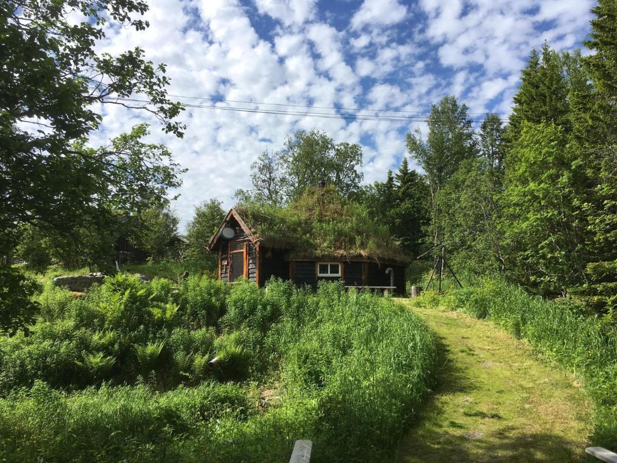 100 Years Old Norwegian Log House In Tromso Villa Exterior foto