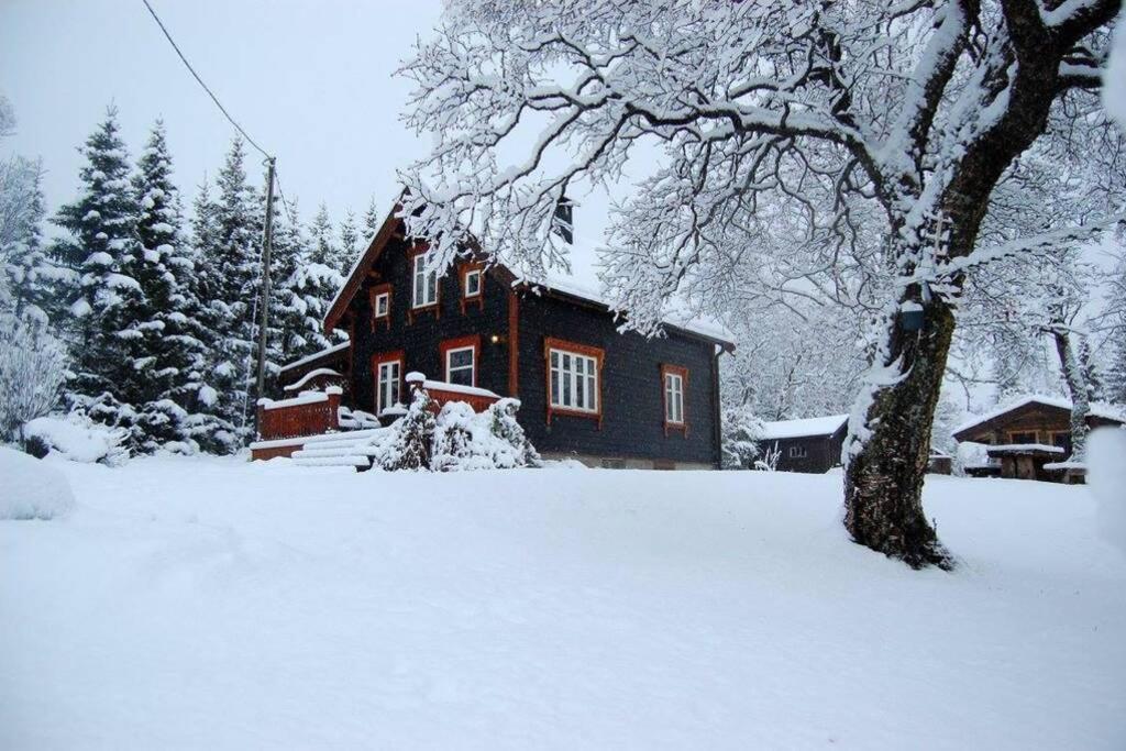 100 Years Old Norwegian Log House In Tromso Villa Exterior foto
