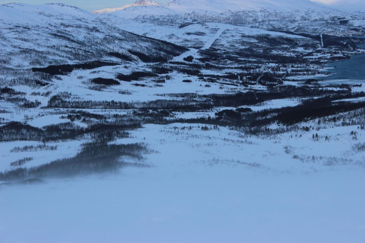 100 Years Old Norwegian Log House In Tromso Villa Exterior foto