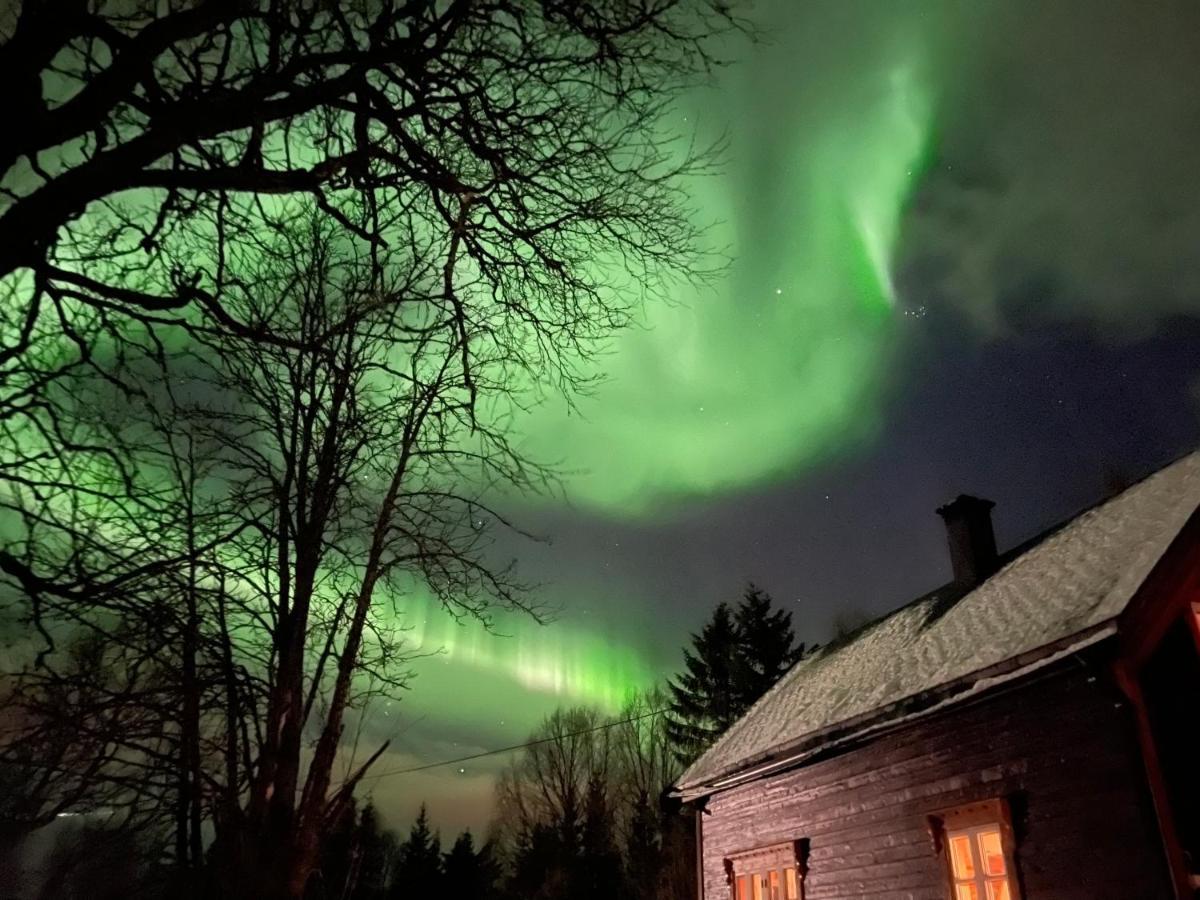 100 Years Old Norwegian Log House In Tromso Villa Exterior foto